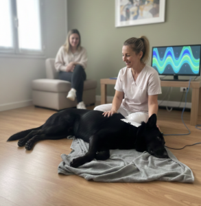 Trattamento Otite Cane